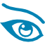 Lashes Icon